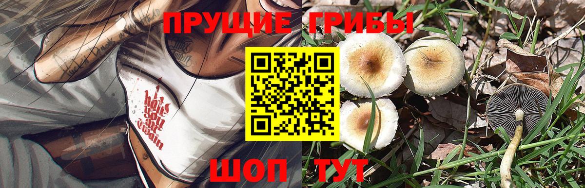 Псилоцибиновые грибы ЛСД  Вход с VPN  Элиста 